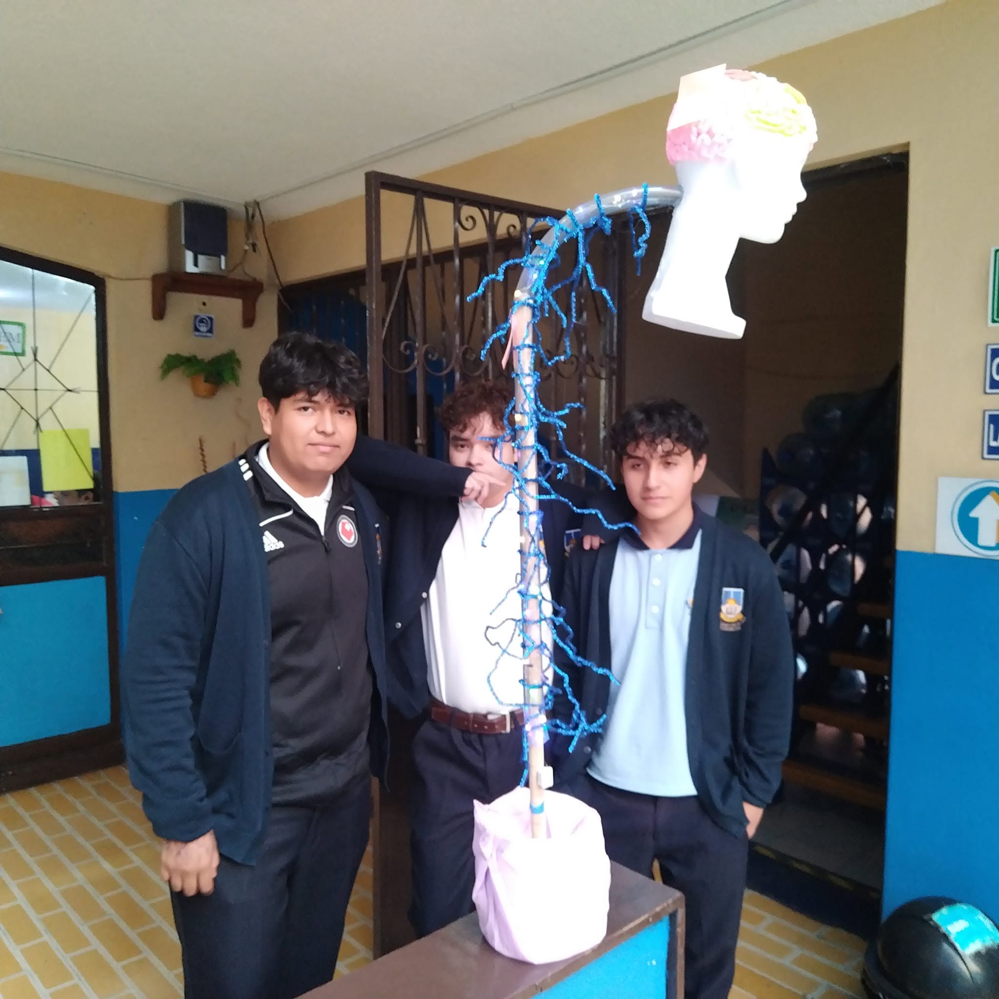 Proyectos escolares